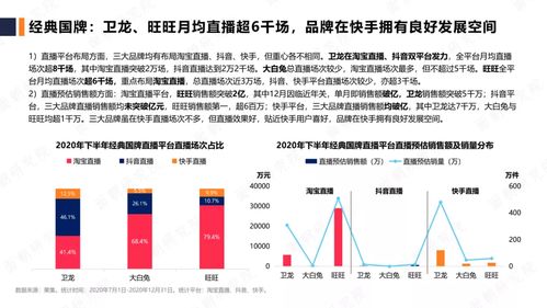2020年健康理念下的休闲食品品牌行业研究报告